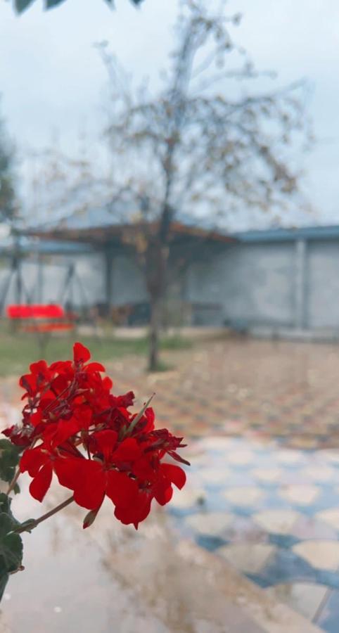Emirest Villa Габала Экстерьер фото